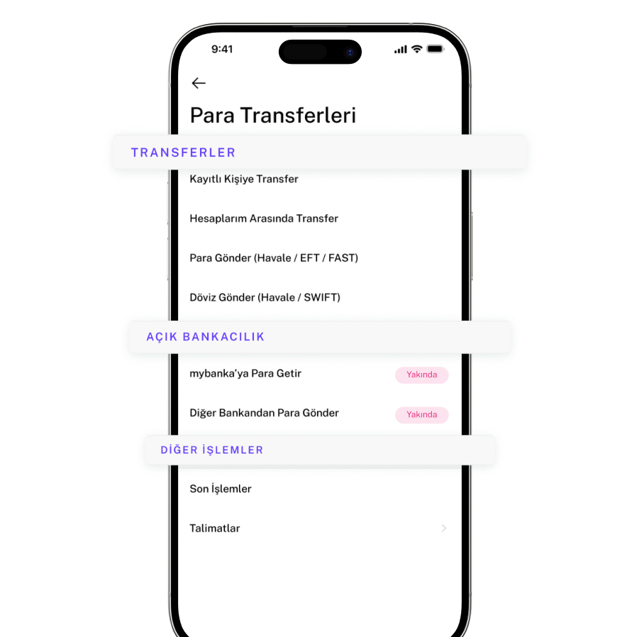 Para Transferleri